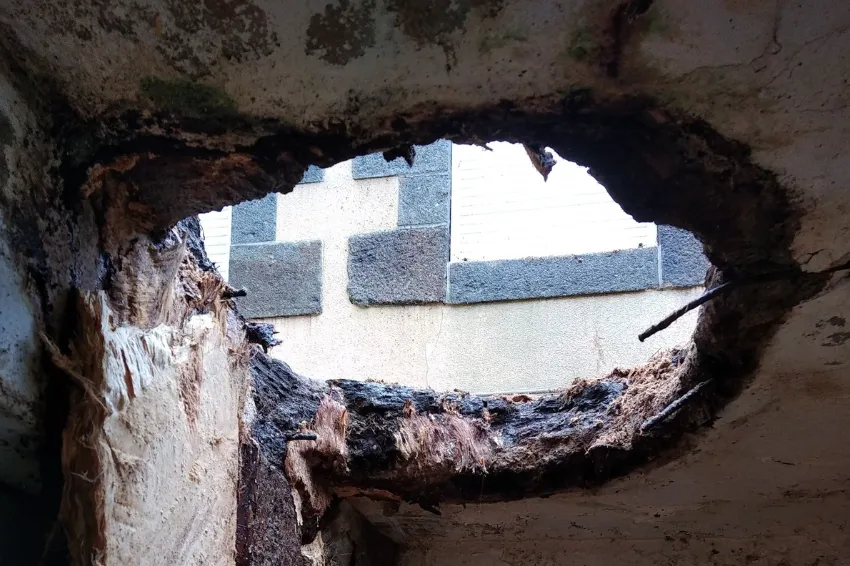 after-image