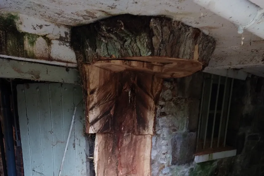 before-image