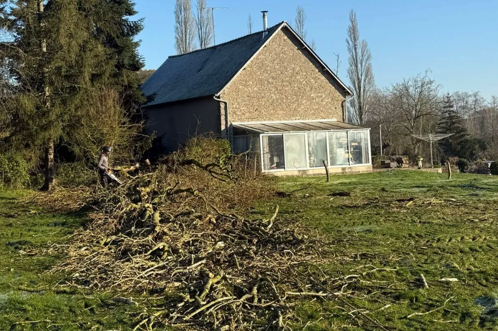 after-image