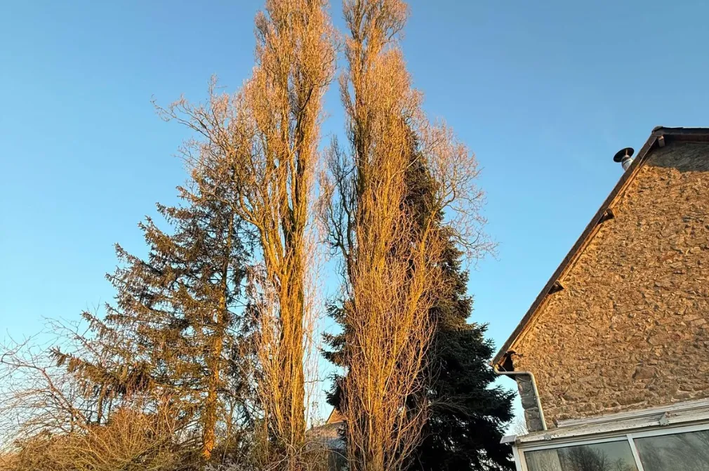 before-image